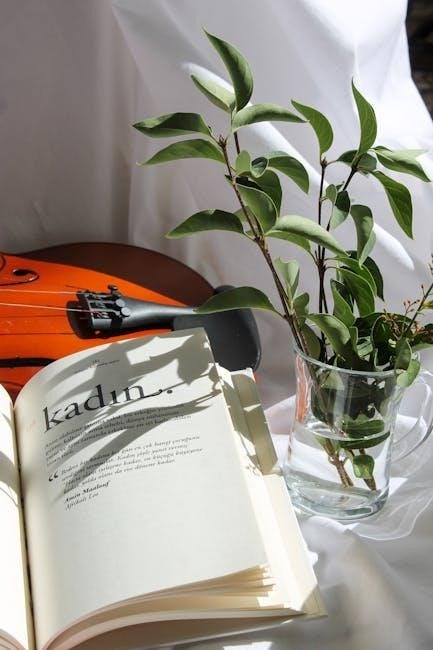 suzuki book 6 violin pdf