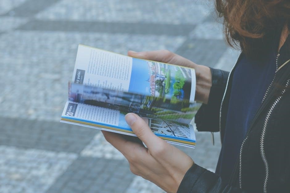 camino de santiago guide book