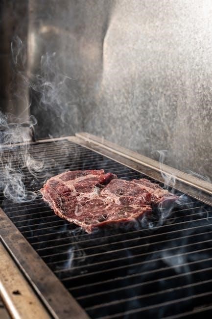 pit boss pellet grill manual