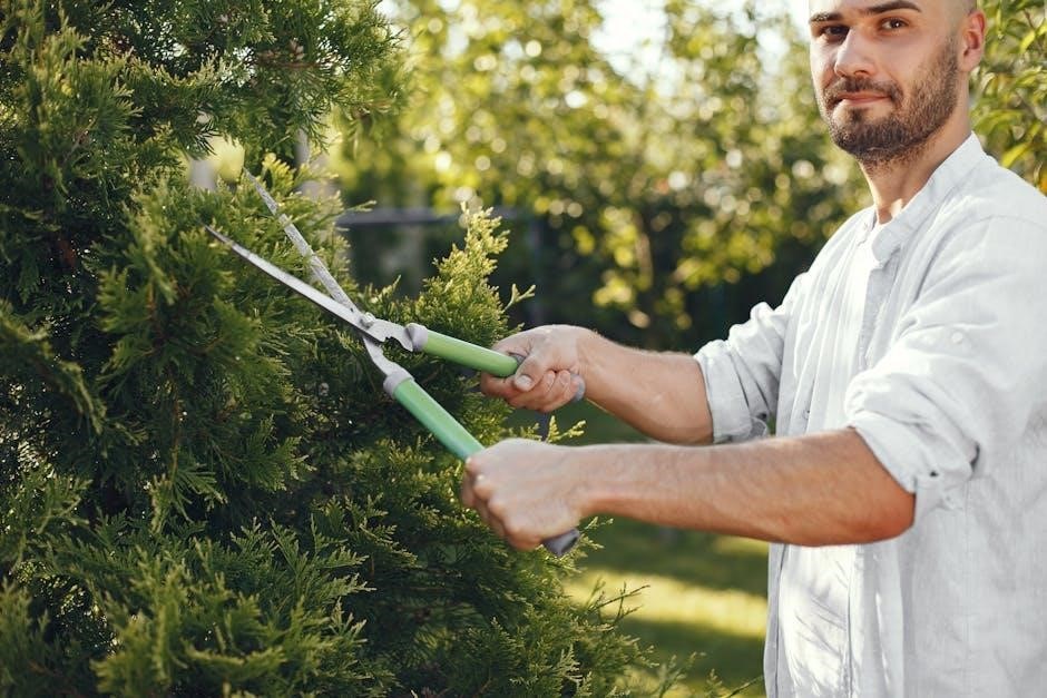 gt 225 echo trimmer manual